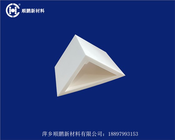202506069